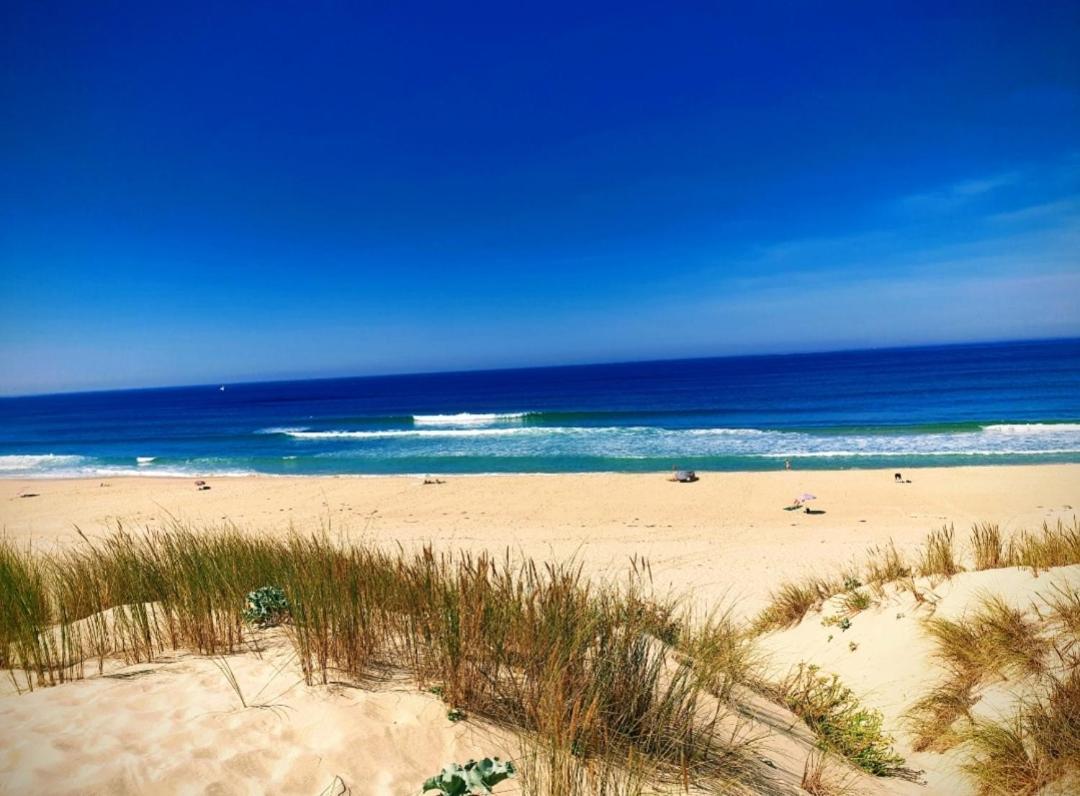 L'Ocean&Dunes Vue A 180° En Bord De Plage Lacanau Extérieur photo