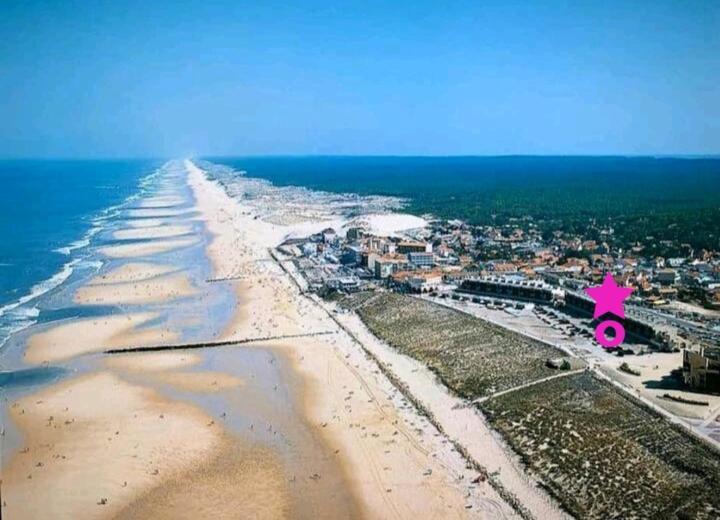 L'Ocean&Dunes Vue A 180° En Bord De Plage Lacanau Extérieur photo
