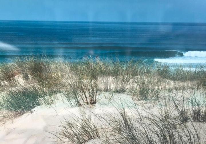 L'Ocean&Dunes Vue A 180° En Bord De Plage Lacanau Extérieur photo