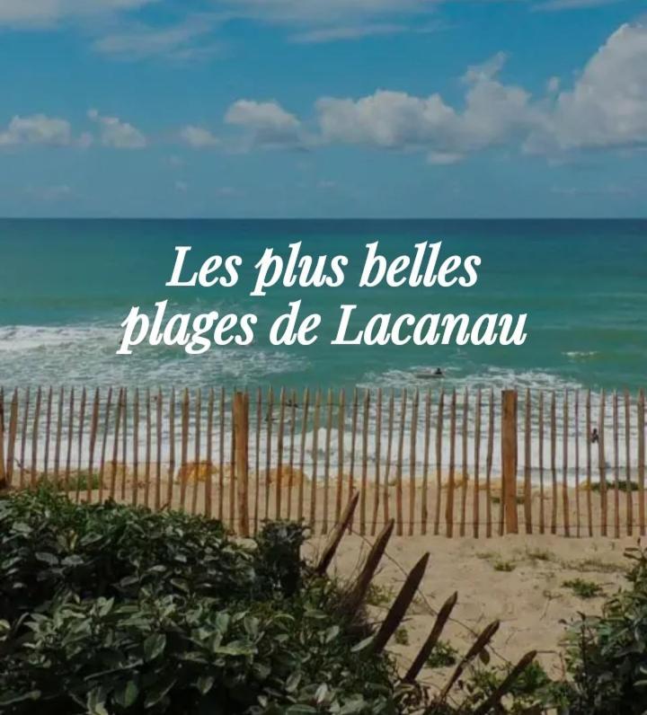 L'Ocean&Dunes Vue A 180° En Bord De Plage Lacanau Extérieur photo